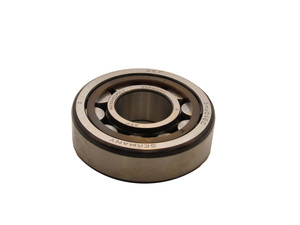 Busch Roller Bearing Part# 473000118 Busch Roller Bearing Part# 473000118